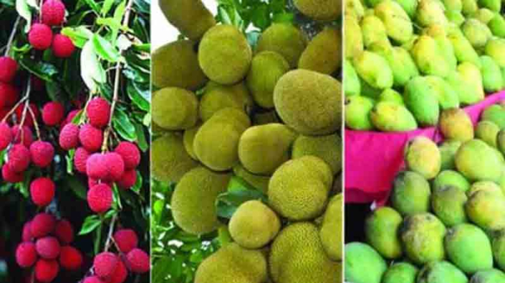 গ্রীষ্মের মিষ্টি ফল—আম, লিচু ও জাম: উপকারিতা, ঝুঁকি ও পরিমিত খাওয়ার পরামর্শ গ্রীষ্মের মিষ্টি ফল—আম, লিচু ও জাম: উপকারিতা, ঝুঁকি ও পরিমিত খাওয়ার পরামর্শ