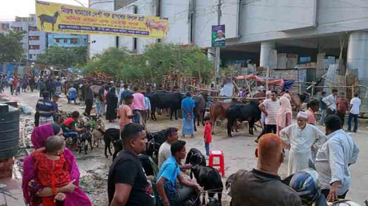 রাজধানীর অলিগলিতে জমে উঠেছে ছাগলের হাট